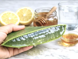 limpiar colon naturalmente remedios caseros — hoja de aloe vera abierta con gel, limón y miel