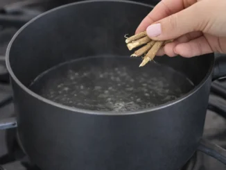 regaliz para bajar de peso: raíz de Glycyrrhiza glabra sobre olla — beneficios reales y riesgos cardíacos