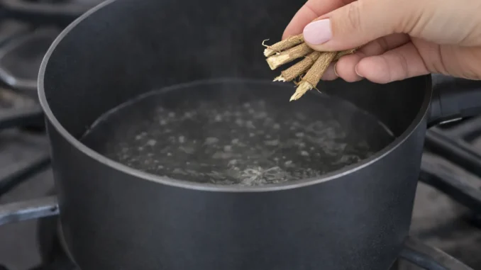 regaliz para bajar de peso: raíz de Glycyrrhiza glabra sobre olla — beneficios reales y riesgos cardíacos