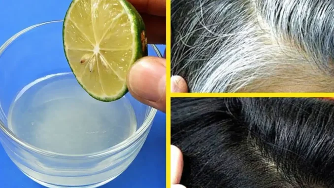 cómo eliminar las canas de manera natural: jugo de cebolla, vitamina B12 y nutrientes que realmente funcionan