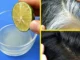 cómo eliminar las canas de manera natural: jugo de cebolla, vitamina B12 y nutrientes que realmente funcionan