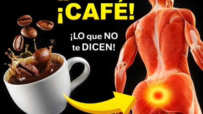 café efectos cuerpo beneficios — taza de café con granos y efecto en el cuerpo humano