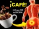 café efectos cuerpo beneficios — taza de café con granos y efecto en el cuerpo humano