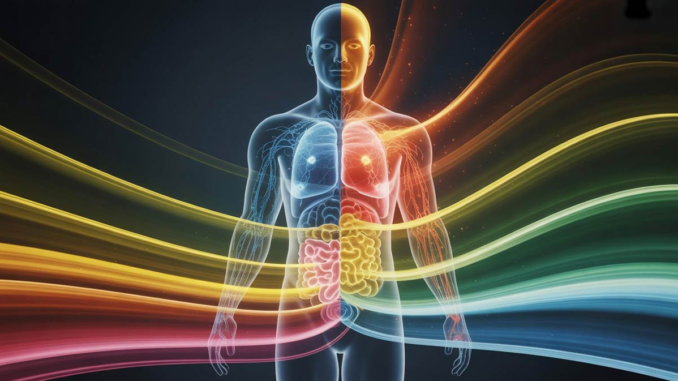 Ilustración que muestra células renovándose y reparando un cuerpo humano, simbolizando el poder de regeneración celular y la salud