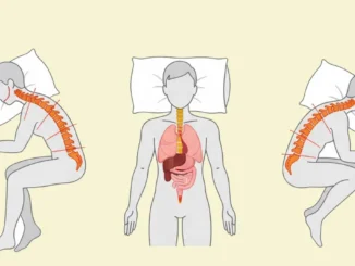 Ilustración médica comparando la alineación de la columna vertebral y los órganos en las posturas al dormir: boca arriba, de lado y boca abajo.