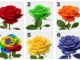 Seis rosas de colores diferentes para test de personalidad. Elección de rosa para descubrir el estado emocional.