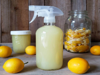 Frascos con vinagre y limón para limpieza casera natural