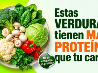 Plato con champiñones, brócoli, espinaca, coliflor y pimiento rojo, las verduras más ricas en proteína