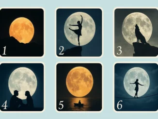 Seis imágenes de lunas llenas con diferentes siluetas: bailarina, lobo, pareja, bote. Test de personalidad visual para elegir la luna y descubrir tu estado emocional.)