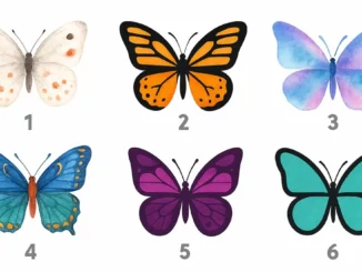 Seis mariposas de acuarela con colores variados (Blanco, Naranja, Púrpura, Azul, Turquesa). Test de personalidad y psicología para elegir la mariposa y descubrir el rasgo oculto.