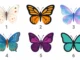 Seis mariposas de acuarela con colores variados (Blanco, Naranja, Púrpura, Azul, Turquesa). Test de personalidad y psicología para elegir la mariposa y descubrir el rasgo oculto.