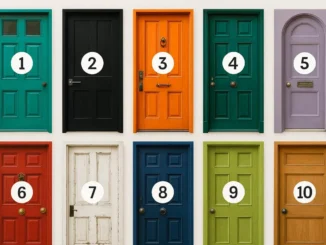 Diez puertas de diferentes colores y estilos (Negro, Rojo, Verde, Azul, Naranja, Blanco, Lavanda, Marrón). Test visual de personalidad para elegir una puerta y descubrir el cambio que se necesita.