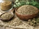 comino para qué sirve beneficios — semillas de comino en cuenco de madera y cuchara con planta de comino